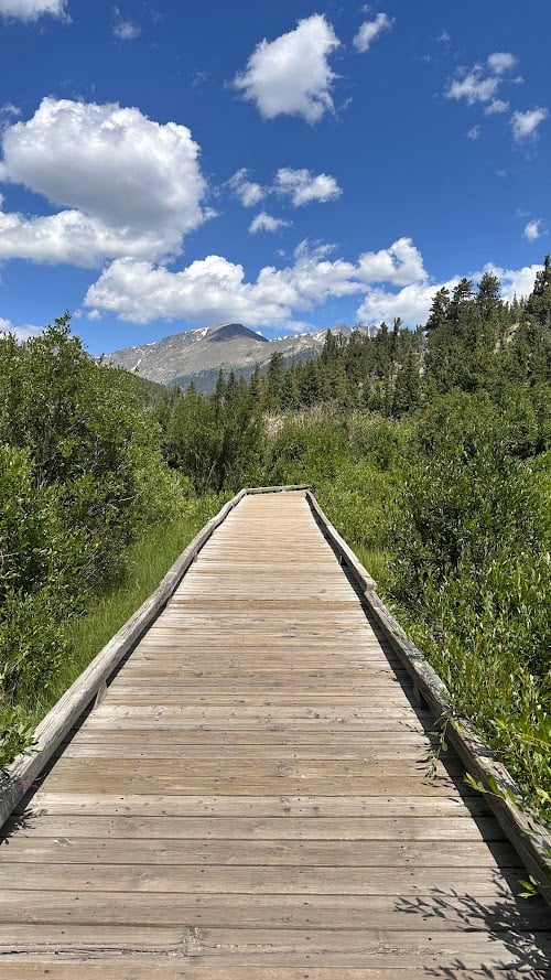 Where the Road Meets the Sky: Driving Trail Ridge Road