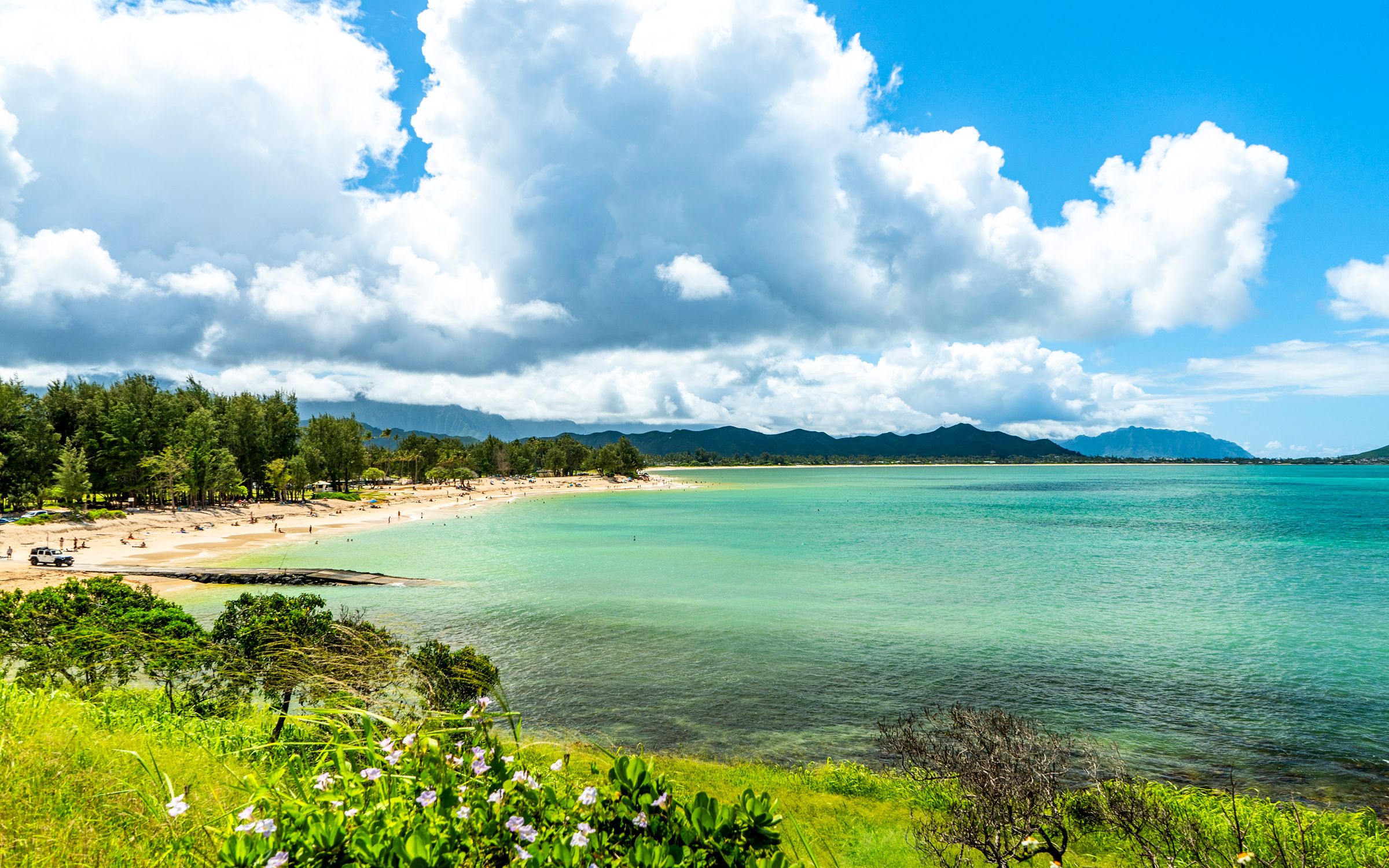 Lex Ferguson Real Estate Agent Honolulu HI | Best Realtor