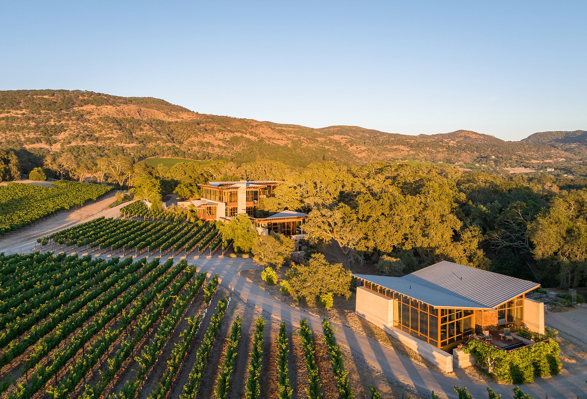 Meteor Vineyard Estate, Napa Valley