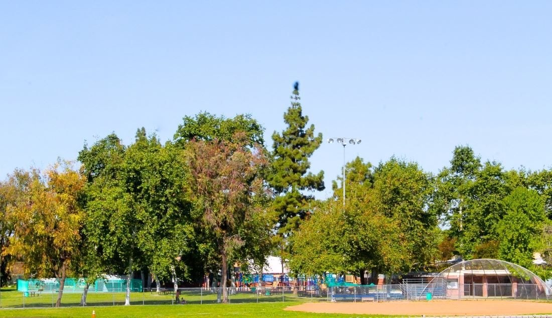 Cudahy