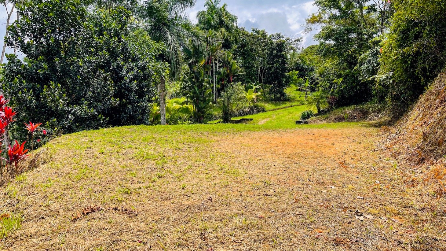 Scenic 2.53 Acres in Fila Cacao Ridge – Build-Ready Lot with Legal Water in Platanillo!