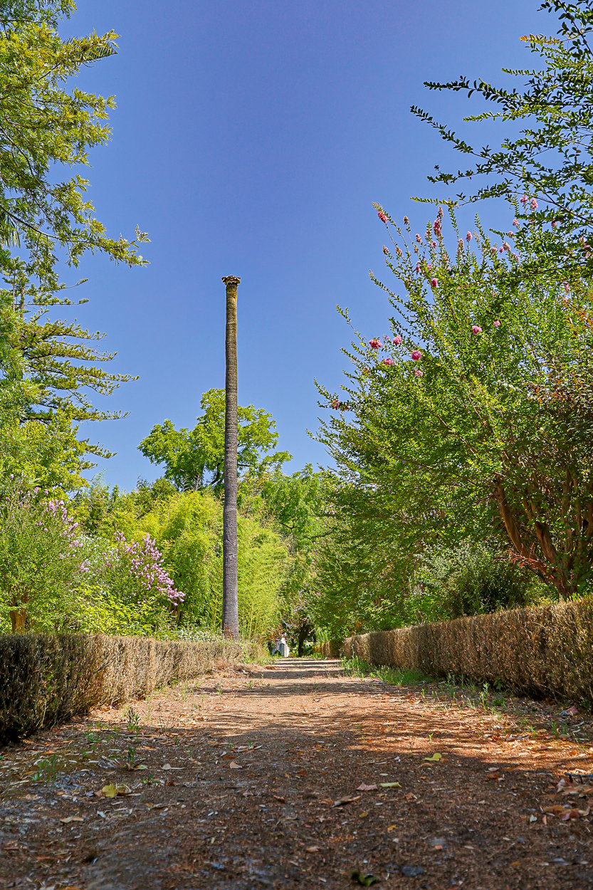 Magnificent 17th-Century Palace with  76,400 m² Estate Near Coimbra