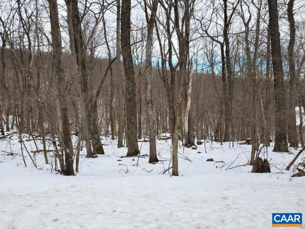 204 Shamokin Springs Trl