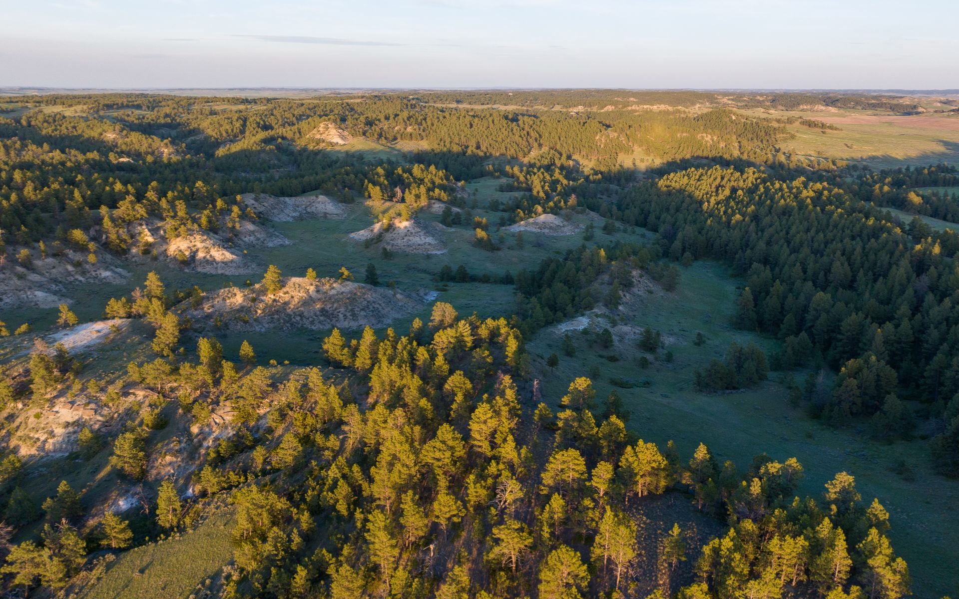 Elk Rich Ranch