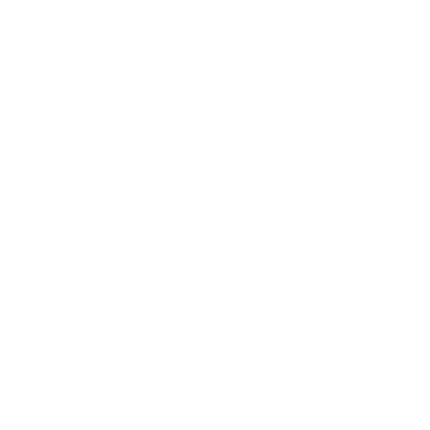 Nelsen Real Estate logo light version - Historic Savannah, GA real estate company