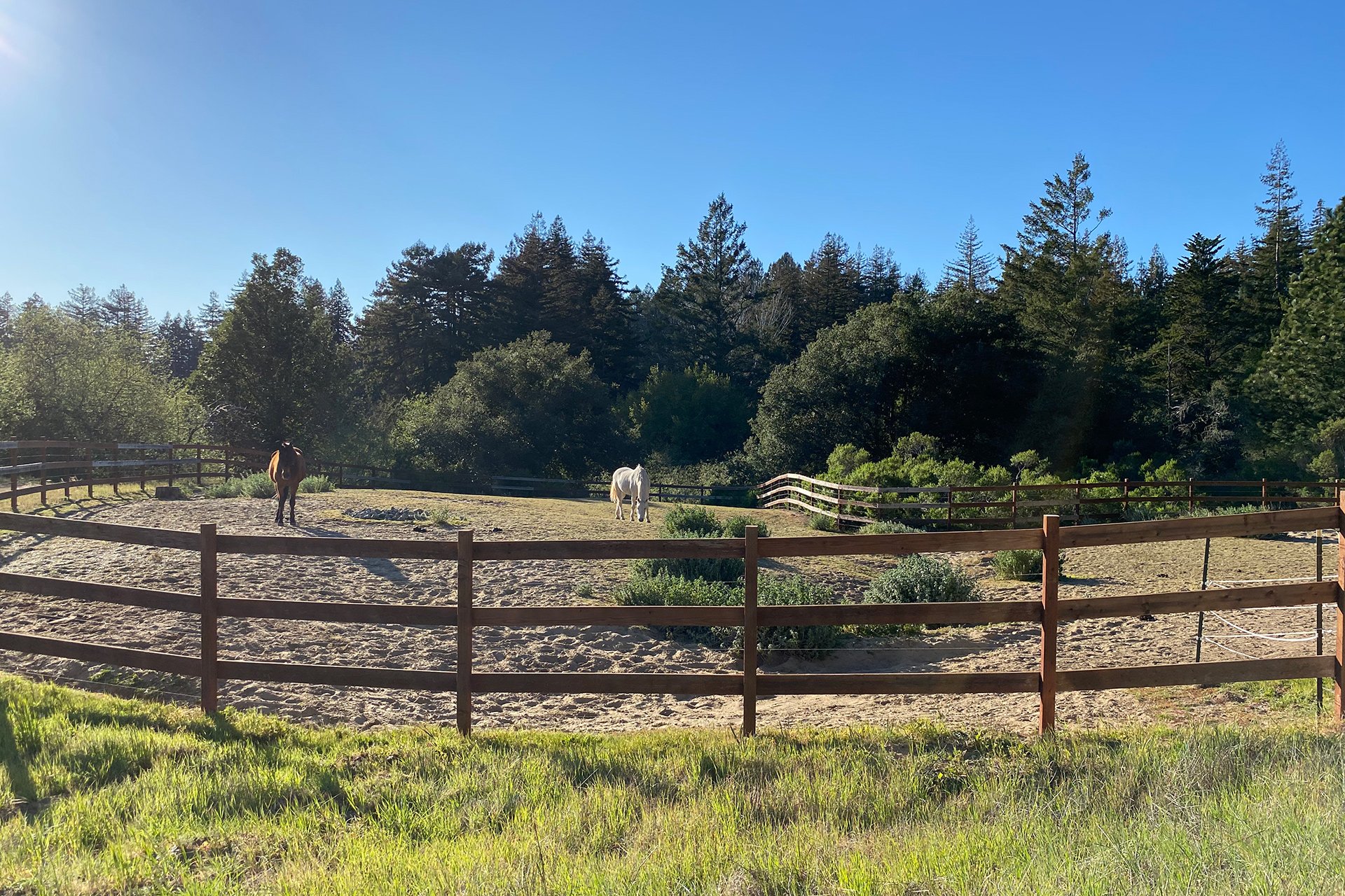 Santa Cruz Vineyard & Horse Property