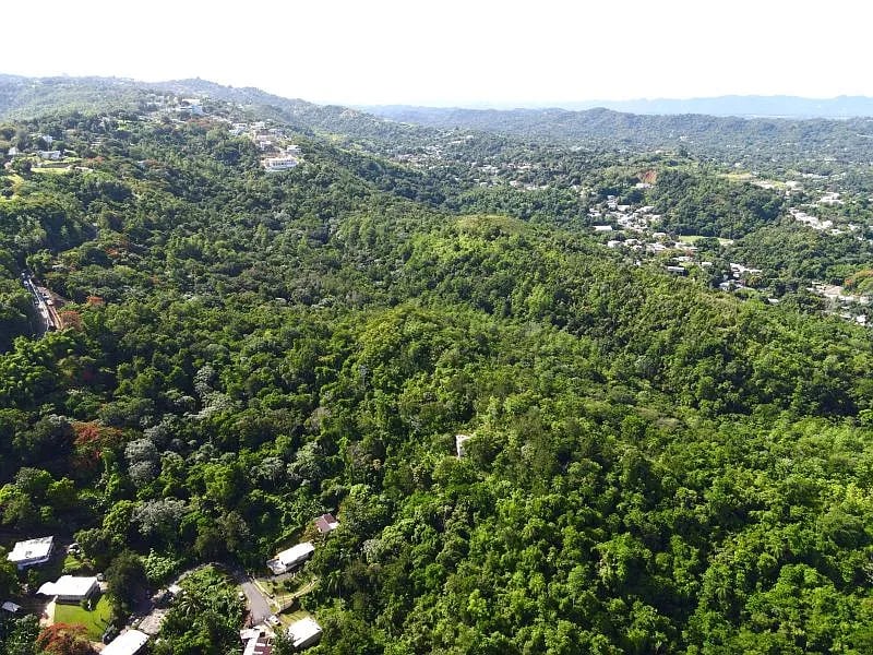 Carr 349 Km 1.01 Bo Quebrada Grande