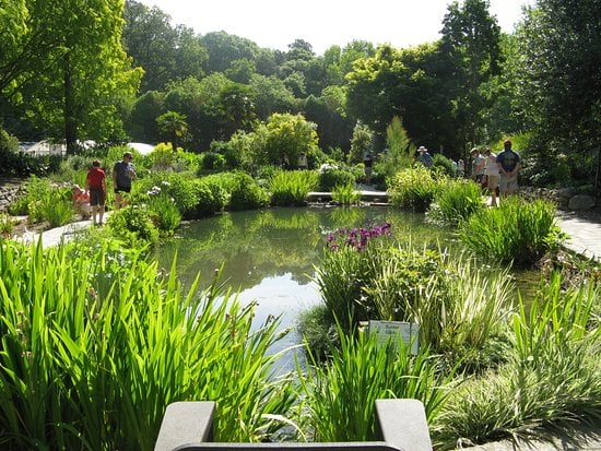 Botanic Garden Open Days