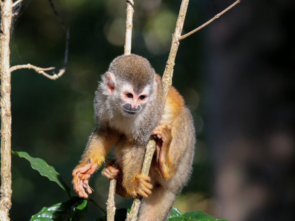 Panoramic Ocean Luxury Estate