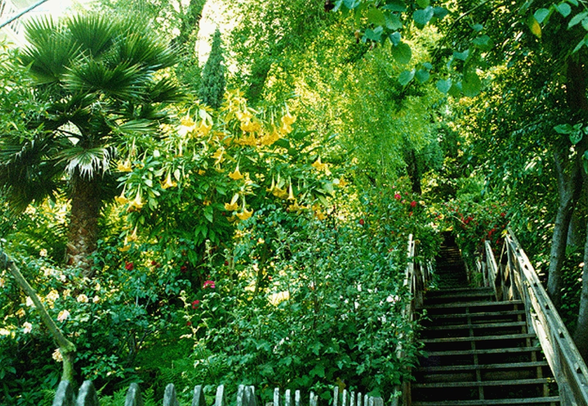 Iconic Filbert Steps Cottage