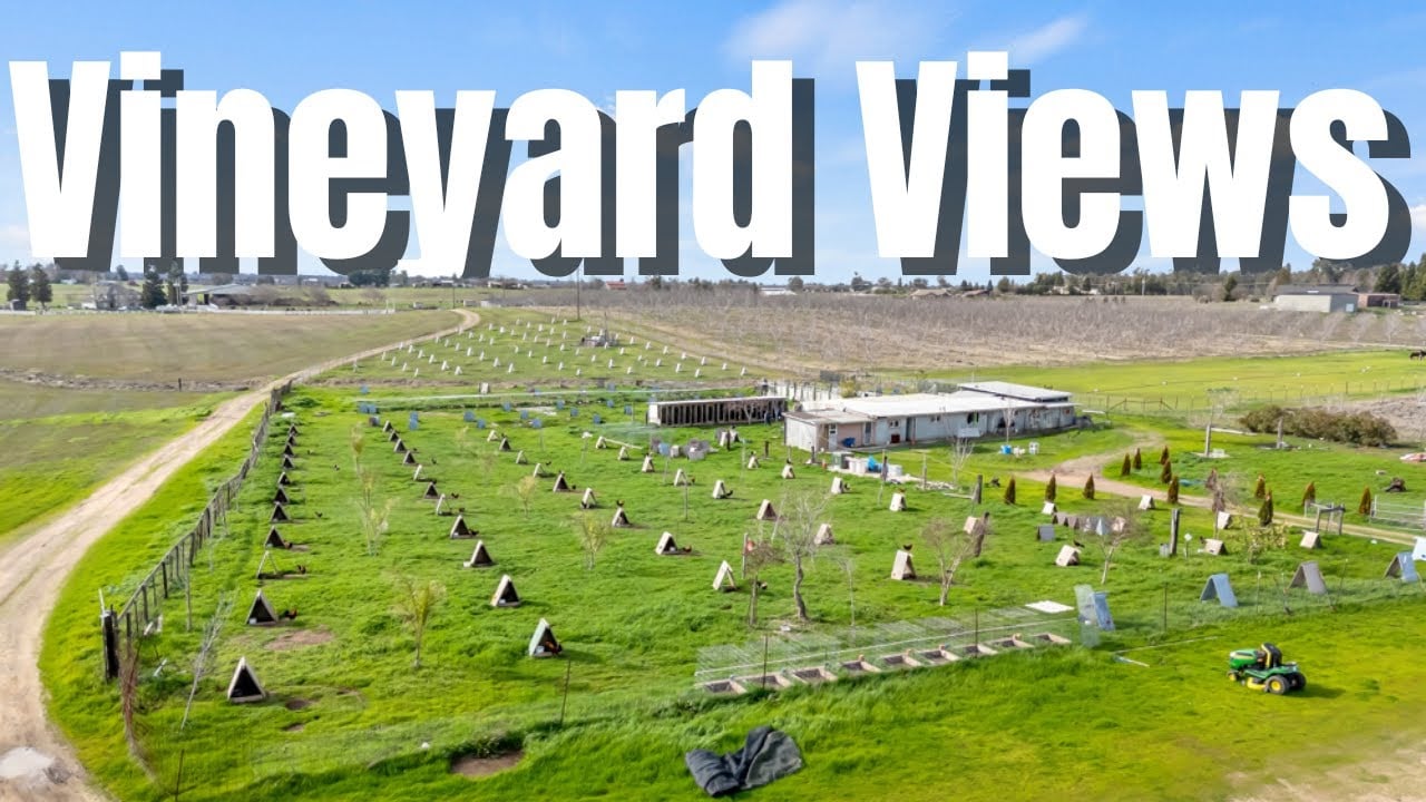 13020 Borden Road in Herald CA - Herald Real Estate - Land for sale in Herald