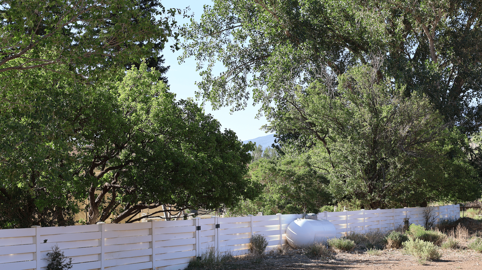 Torrey Land & Greenhouses
