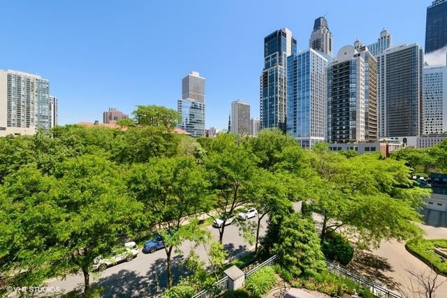 55 W Delaware Unit 520