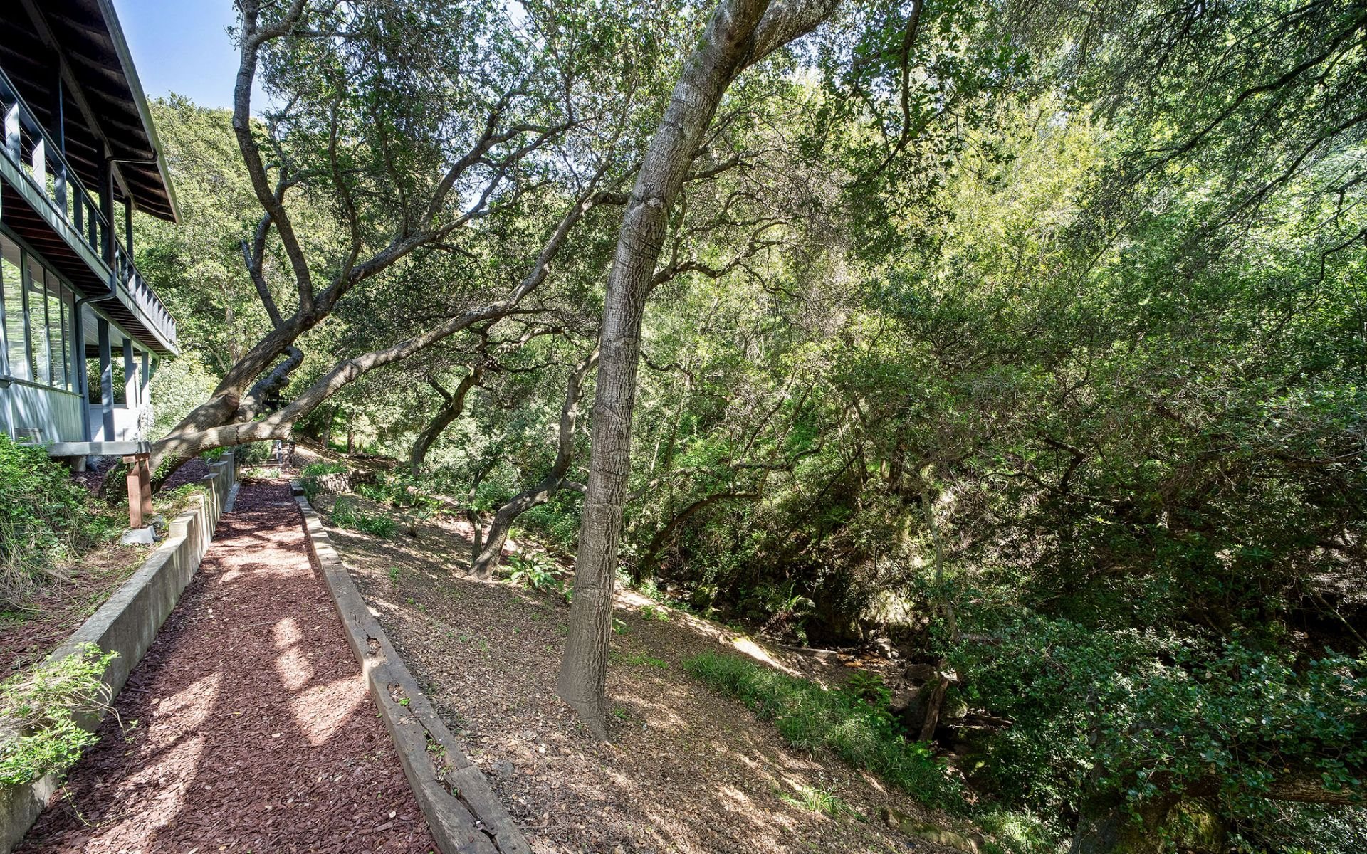 2385 Scout Rd