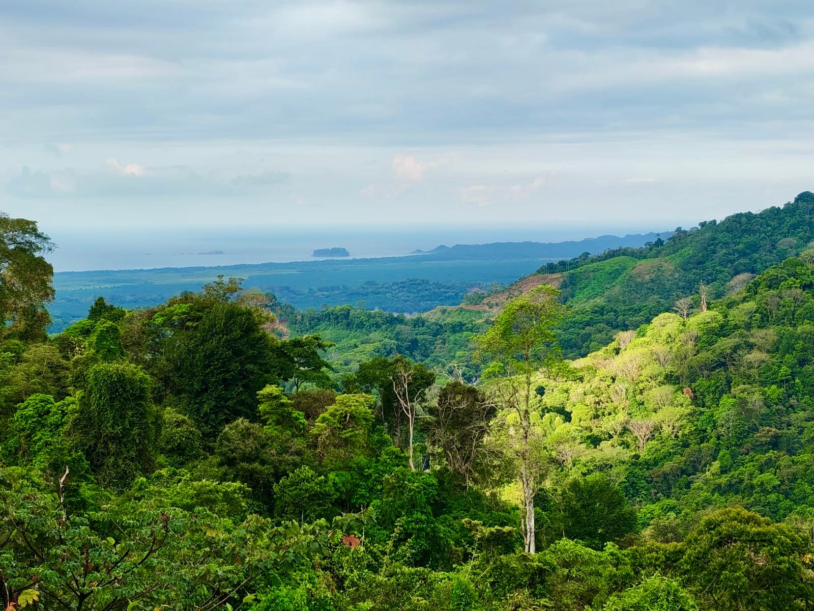 24.7-Acre Ocean View Eco Estate in San Cristóbal de Aguirre | 5 Building Sites