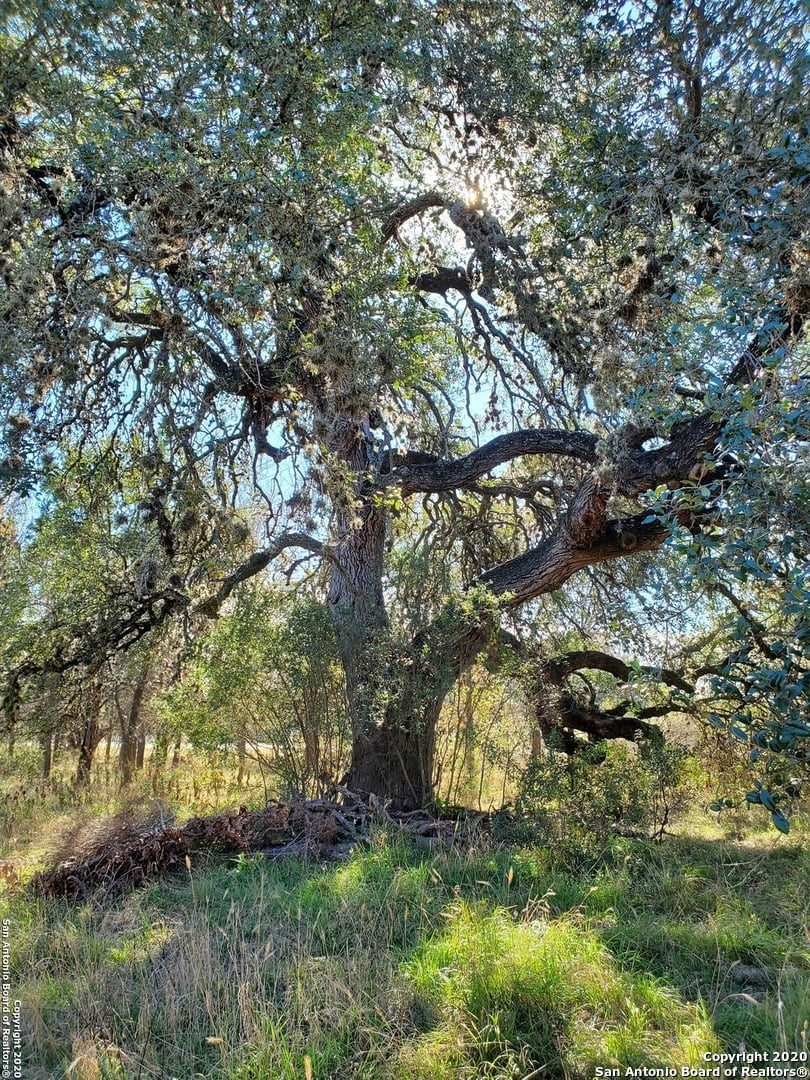 000 Bandera Rd