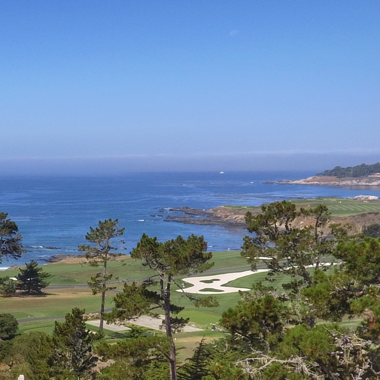 Monterey Homes Market Action Report Real Estate Sales for January 2012