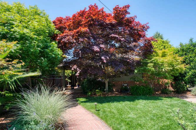 221 Lexington Dr