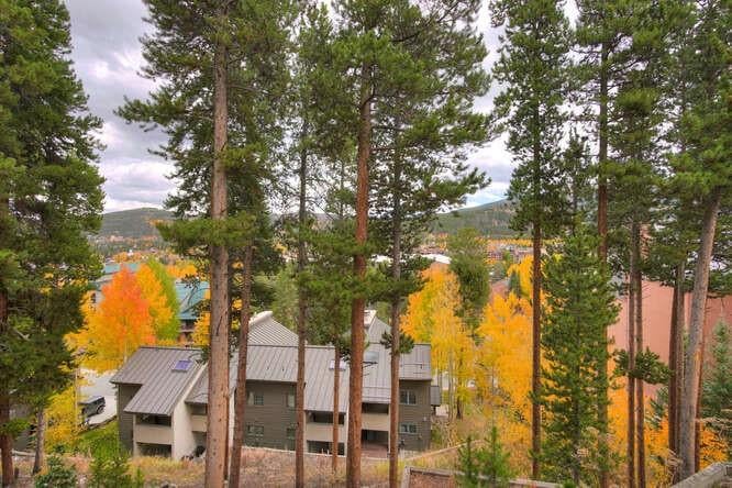 516 Kings Crown Rd, #516