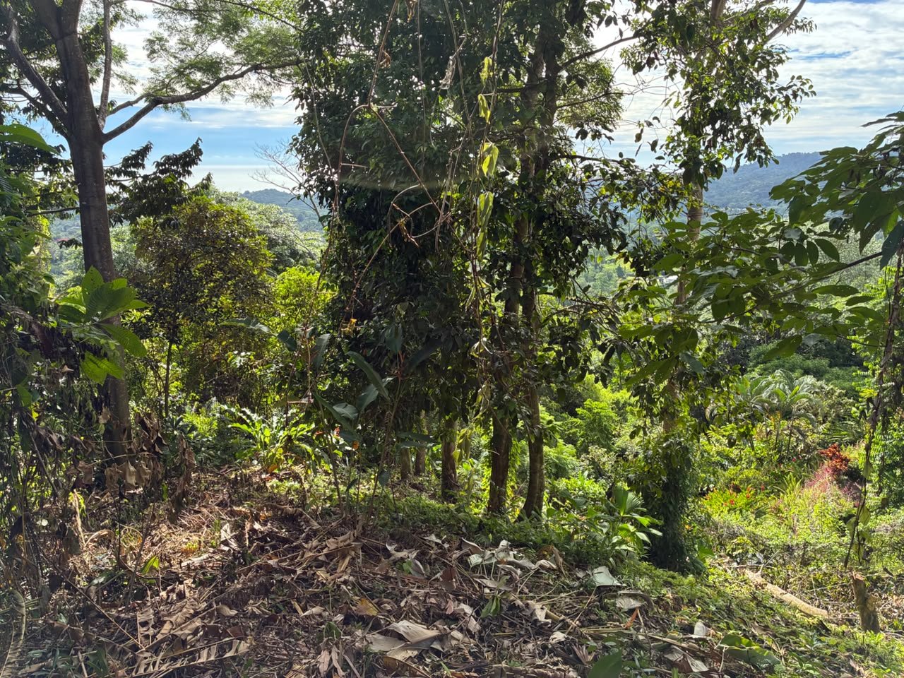 Affordable Ocean View Lot in Ojochal Phase9