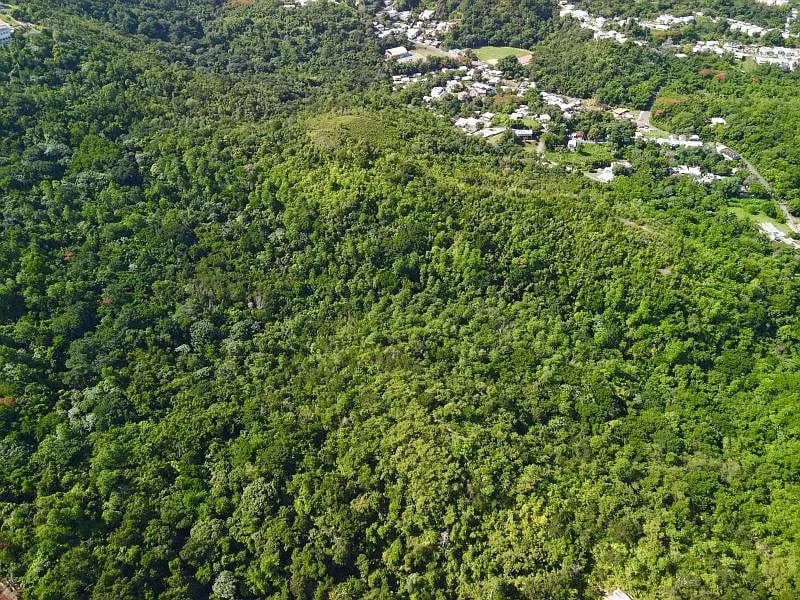 Carr 349 Km 1.01 Bo Quebrada Grande