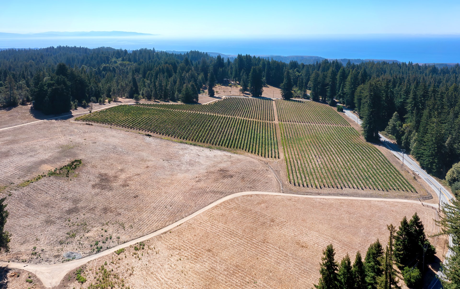 Santa Cruz Vineyard & Horse Property