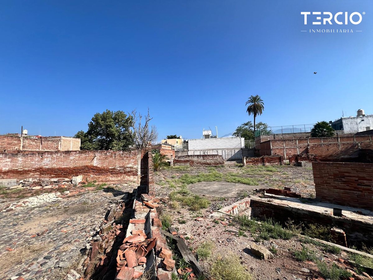 Propiedad en Renta uso de suelo Mixto Ameca $60,000.00 MN