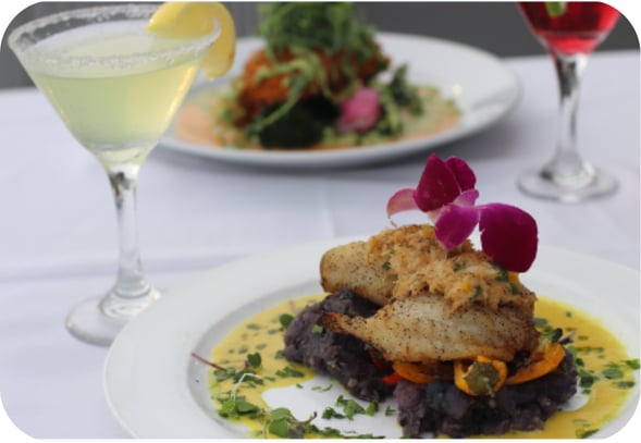 Fish entrée topped with purple orchid petals over dark vegetables and yellow sauce.