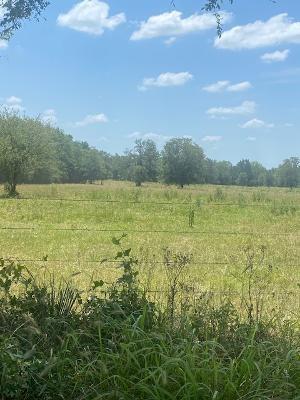000 County Rd 117
