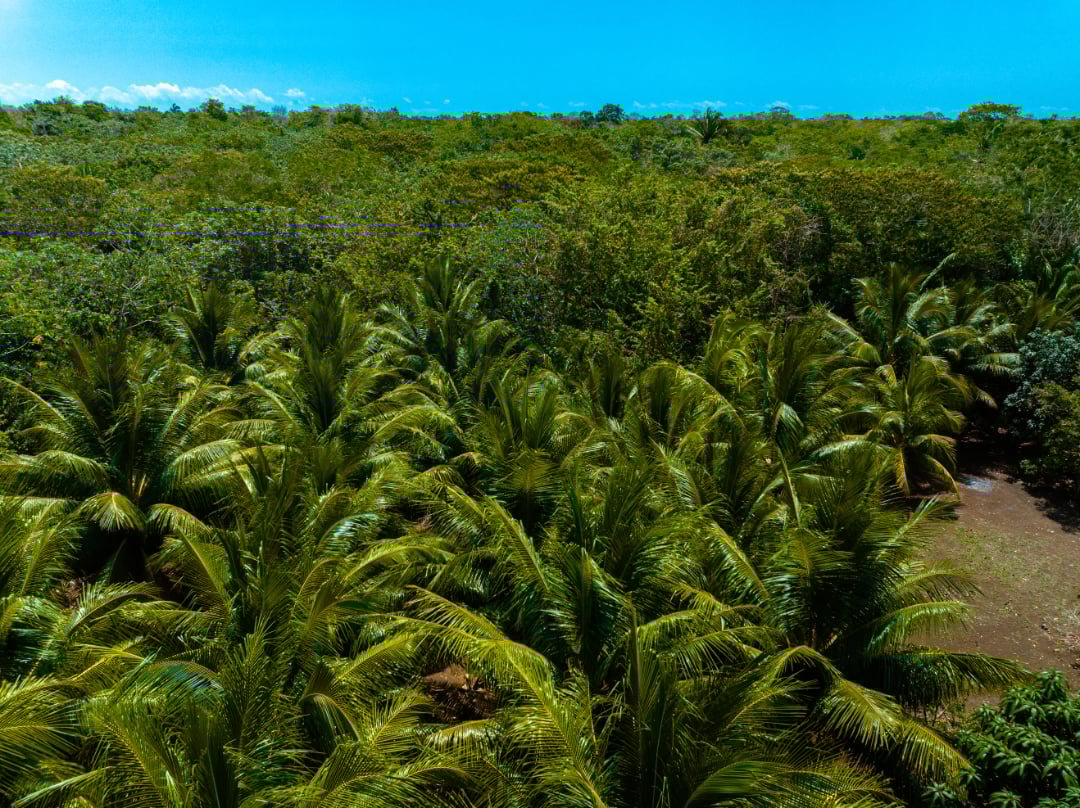 Rancho Del Cielo Maya