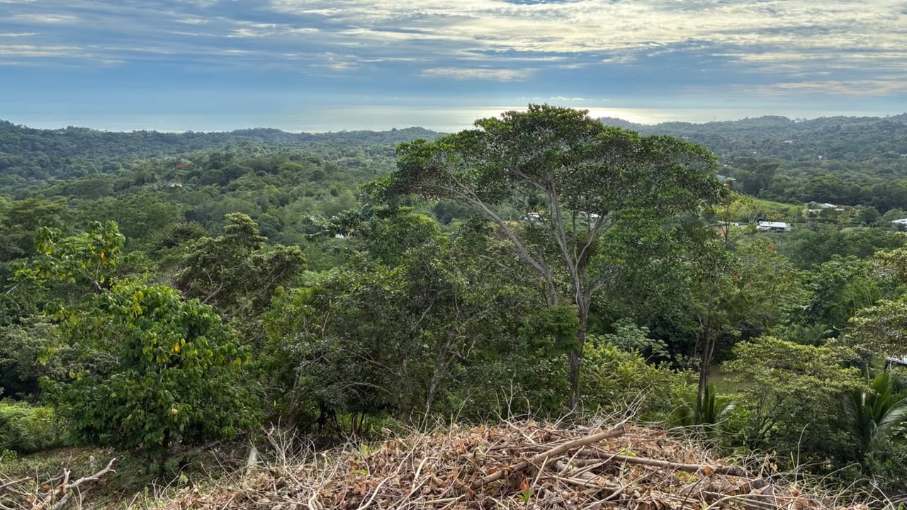 Spectacular Ocean View Lot in Ojochal Phase 9