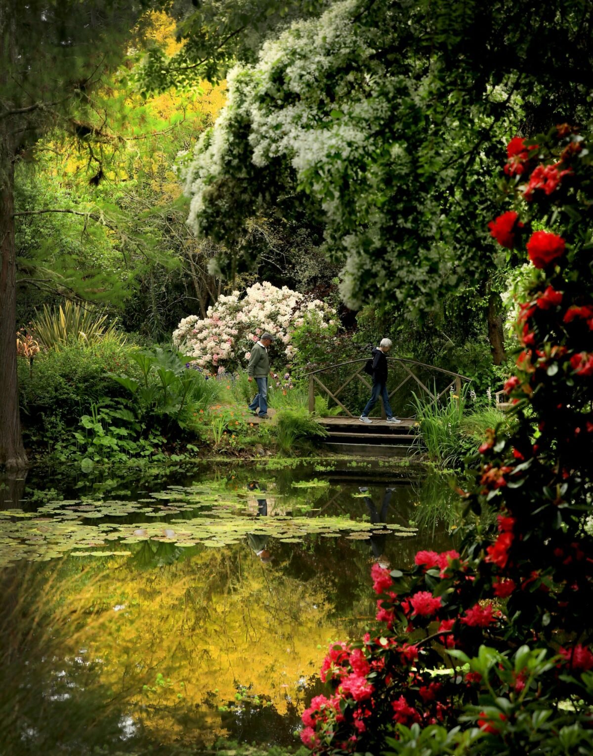 A Bucket List of Essential Things To Do in Sonoma County