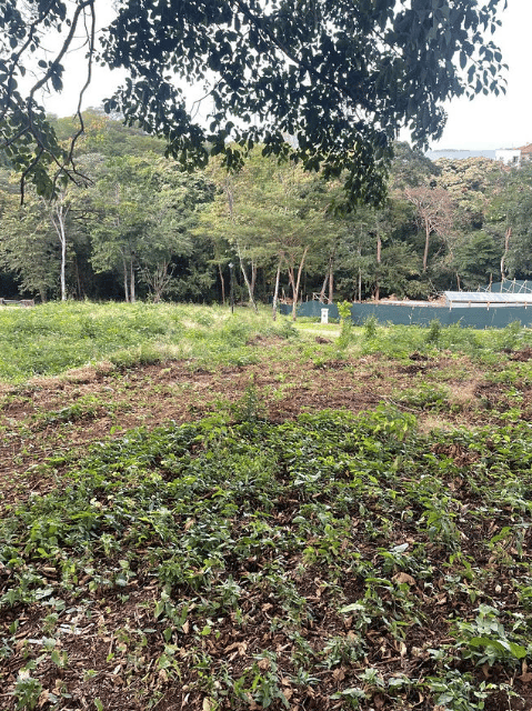 Sauco Lot #2 | A Rare Opportunity to Build Your Dream Home in Reserva Conchal!