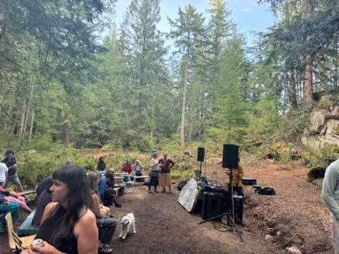 Recap of Summer 2025 Series at Ellingsen Woods
