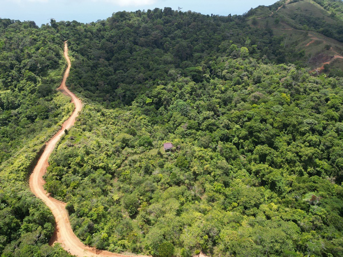 32 ACRES – Mountain Land With Spring, Jungle & Usable Space!!!!