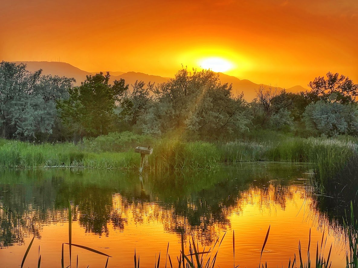 Fountain Creek Nature Center: A Must-Visit Outdoor Escape Near Colorado Springs