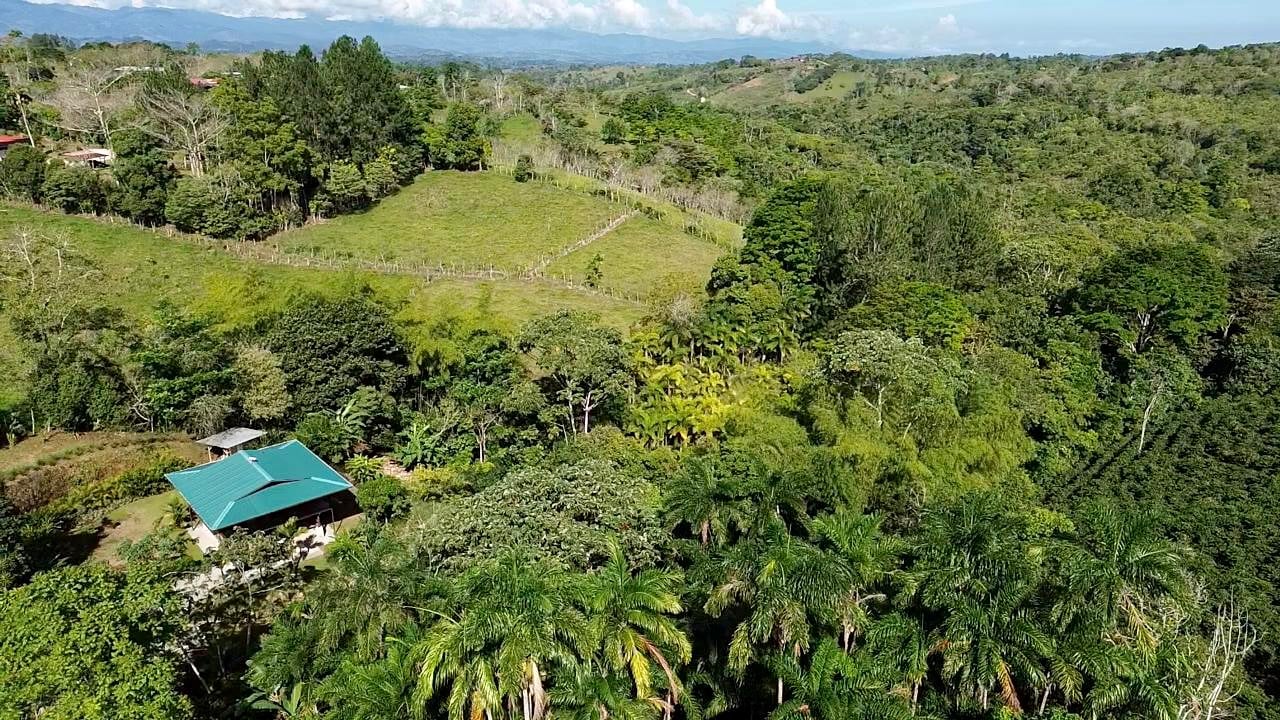 Mountain Oasis with House and Guest Cabin in Las Brisas, San Vito 