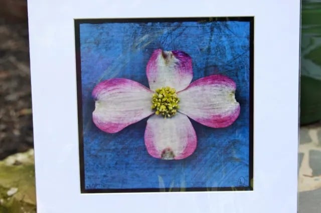 Amazing New Goodies in Falls Church Shop