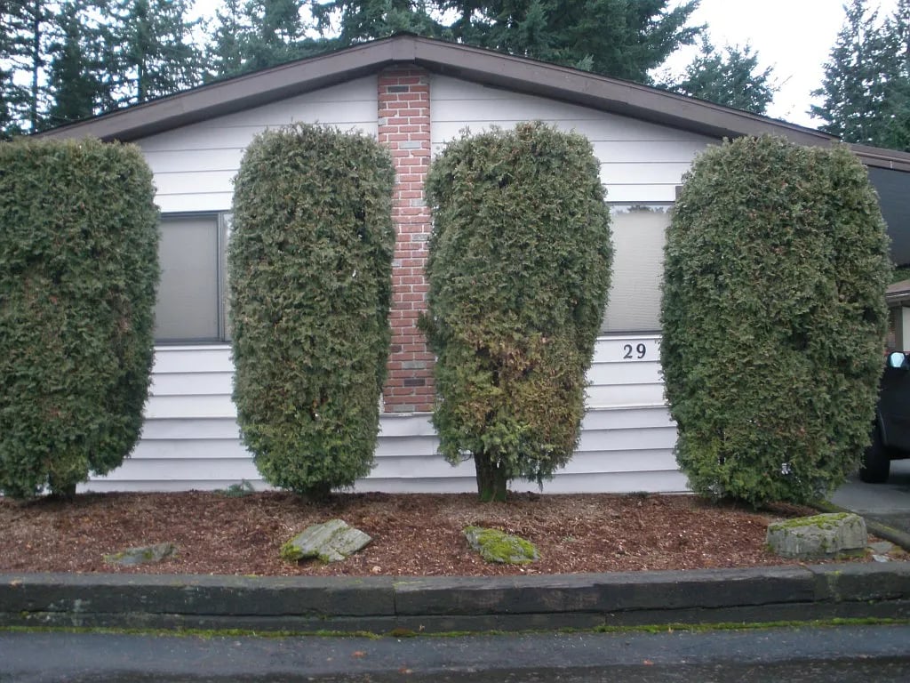 620 112th St SE TRAILER 29