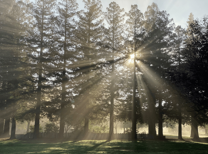 November 2025 | Tri-Valley Market Conditions