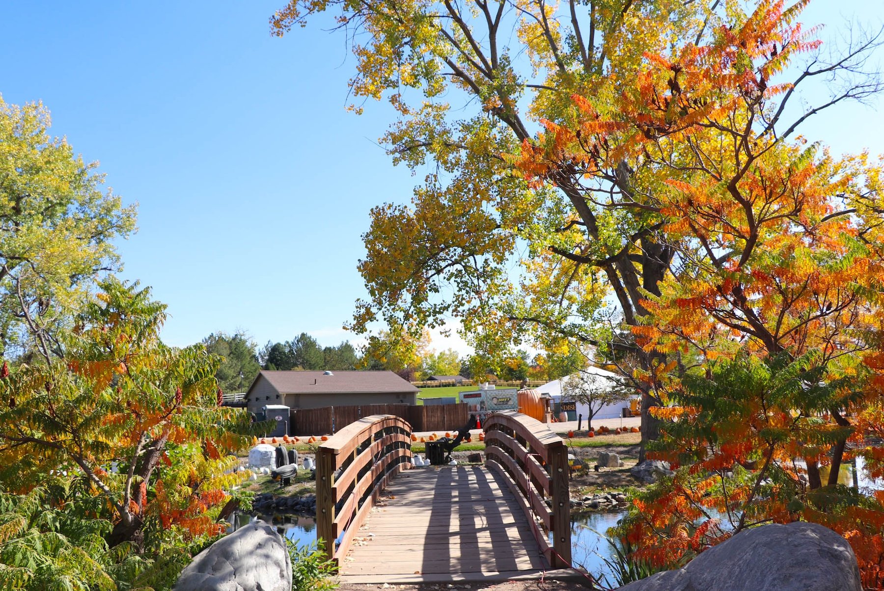 Fall festivals near Denver