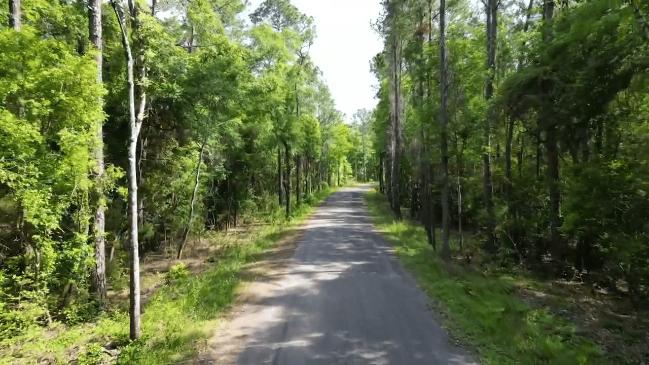 10 AC LOT on Piney Grove Church Rd in Walton County, Florida