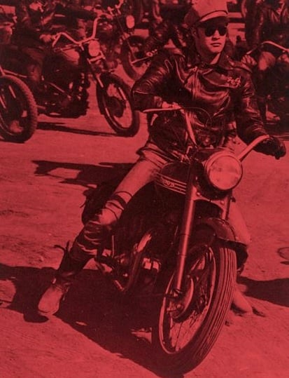 Living with Legends: Brendan Brown on Russell Young’s Icons