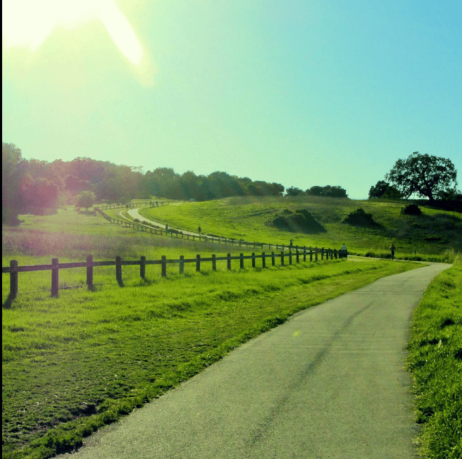 Sweat Equity: Bay Area Cities Perfect for Fitness Lovers 