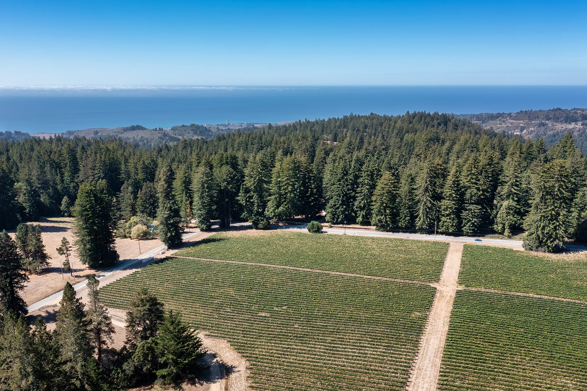 Santa Cruz Vineyard & Horse Property