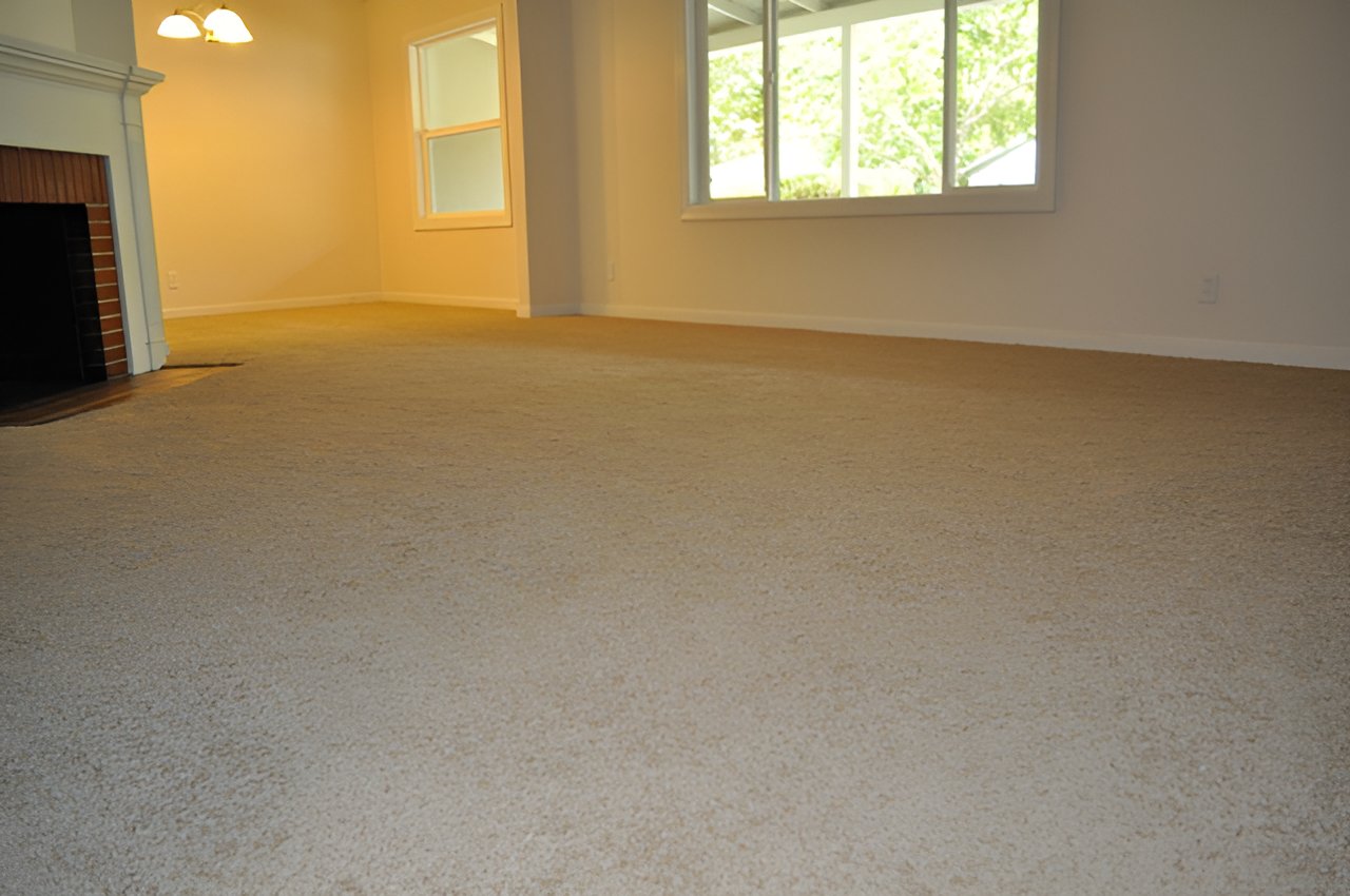 New Listing in the Arden Area of Sacramento! 4424 Ravenwood Way 95821