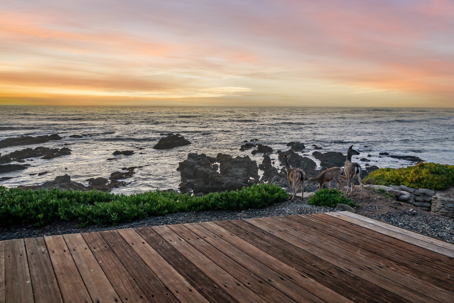 Oceanfront Cambria Retreat - 1999 Sherwood Dr