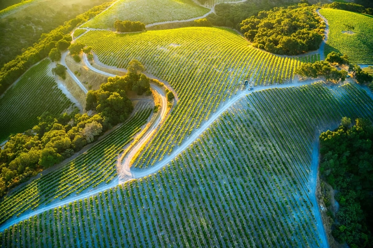 Paso Robles