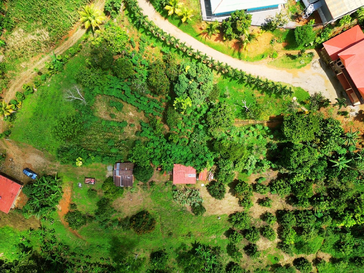 Productive Agricultural Farm with Valley Views in Cristo Rey of Platanares, Pérez Zeledón