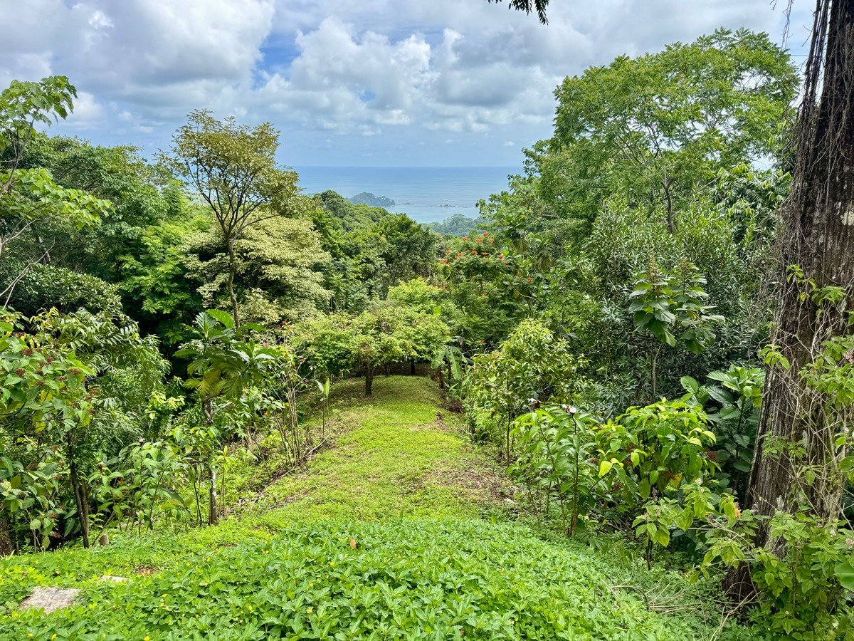 3 Bedroom 2 Story Ocean View Home 10 Min To The Beach, 12.25 Acres!!